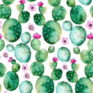 Meet your Posher, Sophia